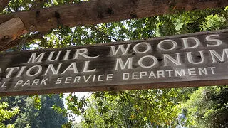 Muir Woods National Monument (2)