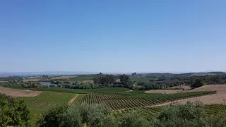 View from Artesa Winery in Sonoma, California