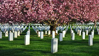 Arlington_National_Cemetery_VA