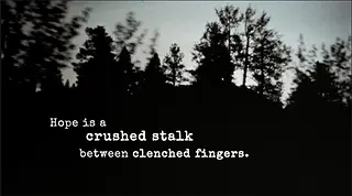 A still from the film My Name is Pauli Murray shows a silhouetted background with Murray's words "Hope is a crushed stalk between clenched fingers," displayed in white.