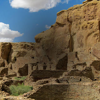 Great Chaco Landscape